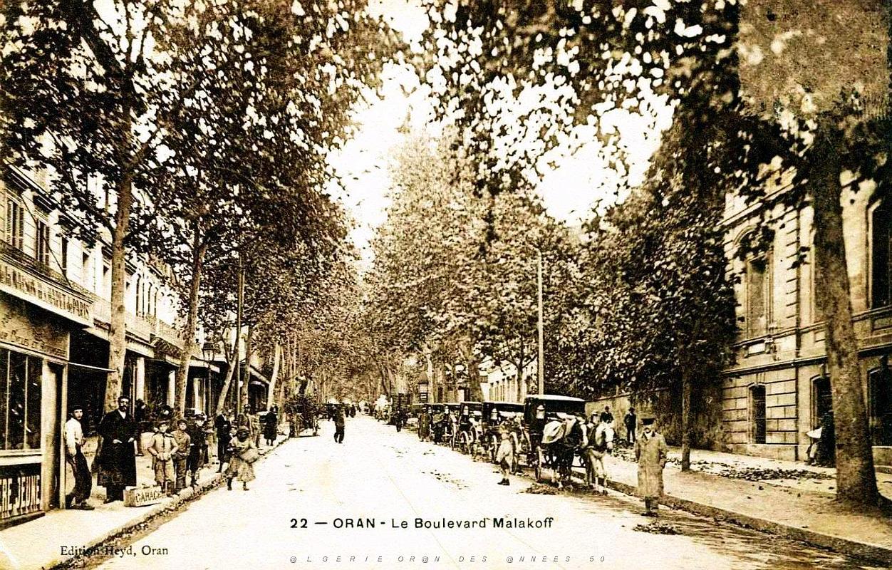 1039- Oran - Boulevard Malakoff.jpg